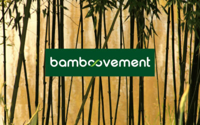 Bamboovement duurzaam bamboe merk