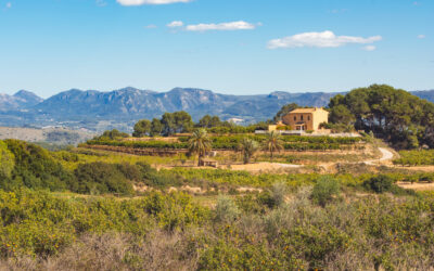 Homestays als duurzame accommodatie