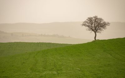 De van nature duurzame Italiaanse cultuur
