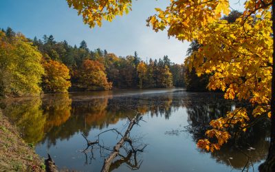 Autumn in the Czech Republic: Nature and relaxing