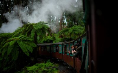 Train travel in Australia: traveller experiences