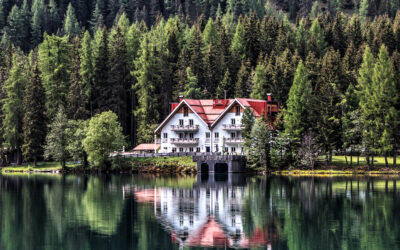 Bewust genieten in een natuurhuisje