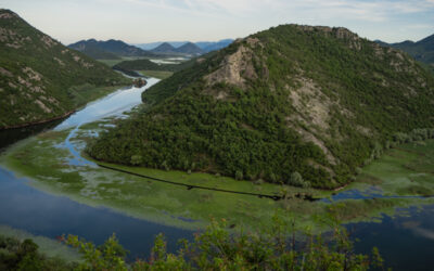 Skadar meer: De kern van mijn reis door Montenegro